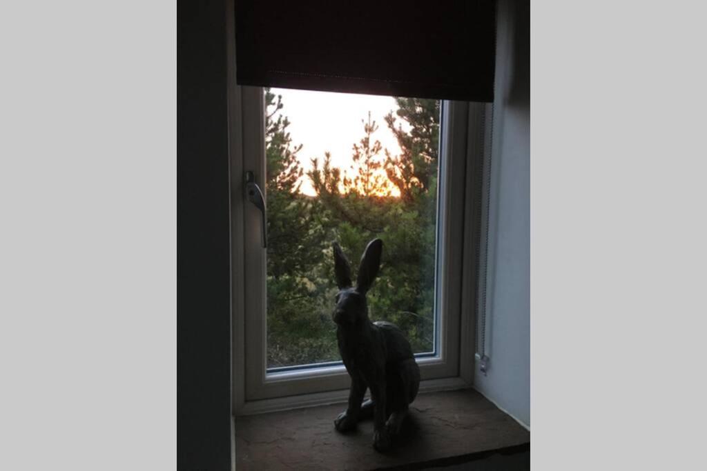 Hare Cottage At Hill Top Greenhow Hill Bagian luar foto